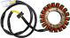 Lichtmaschinen-Stator mit steckerfertigem Anschluss-Kabelbaum und Dichtungsgummi für die Motorgehäusedurchführung