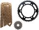 X-Ring Kettensatz 17/42 (114Gl) DID525ZVM-X2