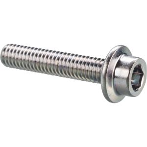 Innensechskant-Schraube mit Flansch M6x30mm (OEM)