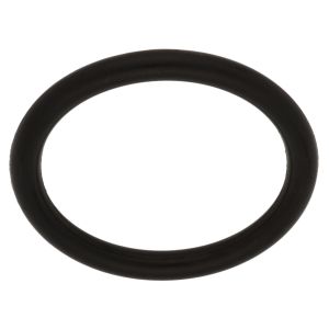 O-Ring Anlasserwelle (Dichtung zum Motorgehäuse)