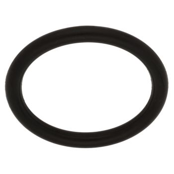 O-Ring Anlasserwelle (Dichtung zum Motorgehäuse)