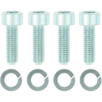 Innensechskant-Schrauben-Set 8.8 für Mikuni VM36-Vergaser (siehe Art. 32288), 8tlg.
